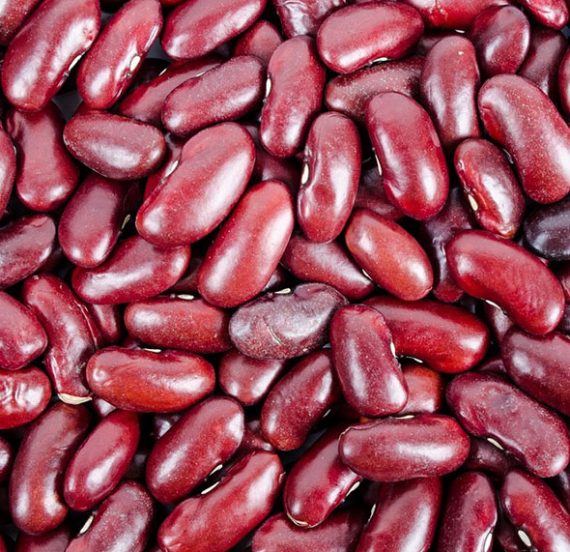 Kidney Beans Suppliers