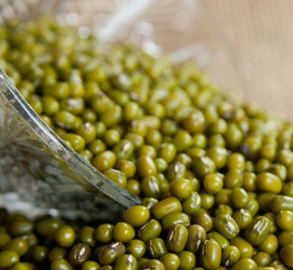 Buy Mung Bean Online