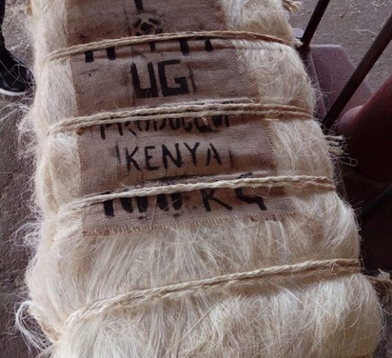 Buy Sisal Fibre Online