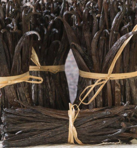 Vanilla Beans Manufacturers