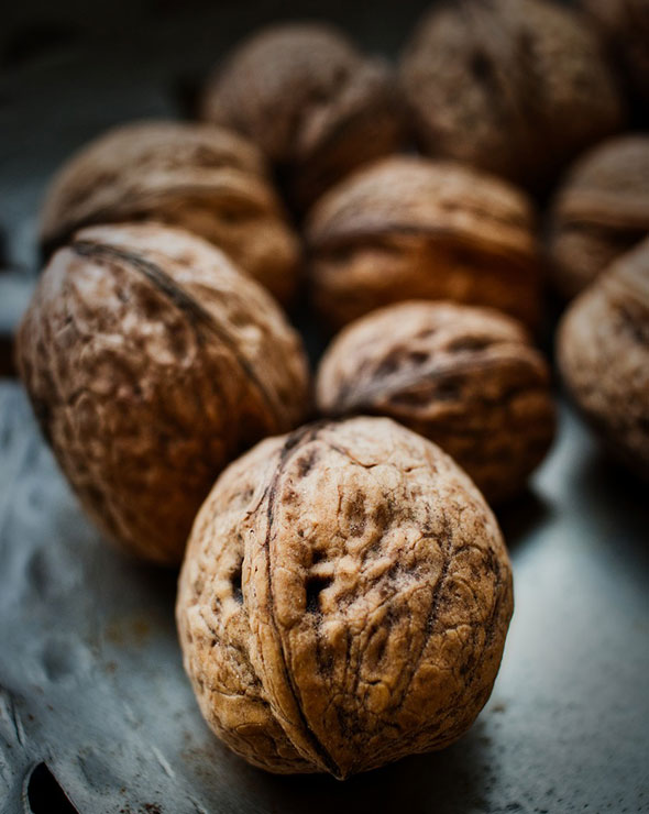 Buy Best Walnut Online At Low Cost Walnut Exporters in Africa