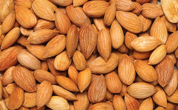 Almond Nuts Manufacturers