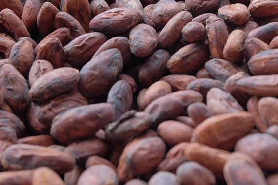 Buy Cocoa Beans Online