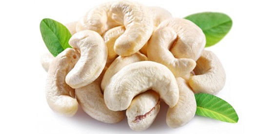 Cashew Nut Exporters