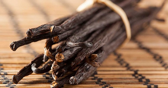 Vanilla Beans Suppliers