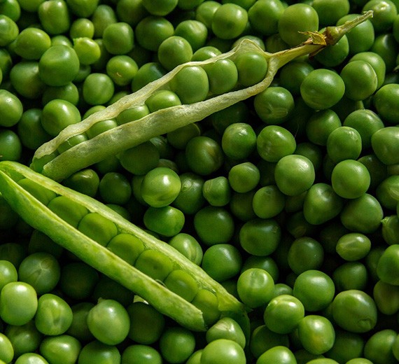 Buy Peas Online