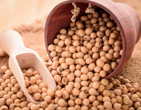 Buy Soybeans Online