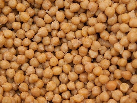 Chickpea Manufacturers