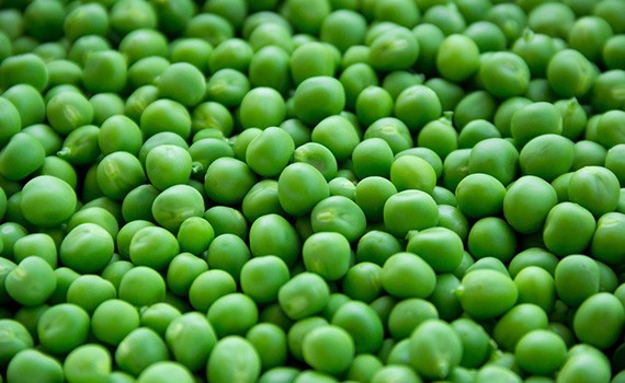 Peas Suppliers and Exporters