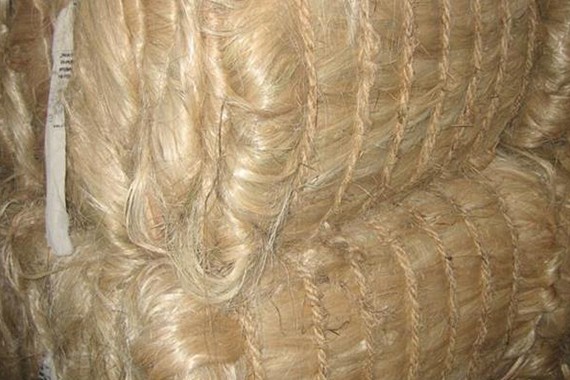 Sisal Fibre Exporters and Suppliers