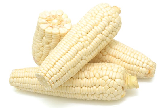 White Corn Exporters and Suppliers